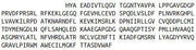 Recombinant Discoidin Domain Receptor Family, Member 1 (DDR1), RPU52028