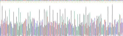 Recombinant Human Low Density Lipoprotein Receptor (LDLR)