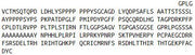 Recombinant Early Growth Response Protein 2 (EGR2), RPU52061