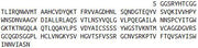 Recombinant Pancreatic Elastase 1 (ELA1), RPU52063