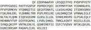 Recombinant Fibromodulin (FMOD), RPU52064