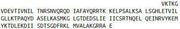 Recombinant Annexin A2 (ANXA2), RPU52100