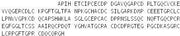 Recombinant Laminin Beta 3 (LAMb3), RPU52113