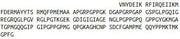 Recombinant Collagen Type XVI (COL16), RPU52120