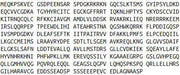 Recombinant Thyroid Hormone Receptor Alpha (THRa), RPU52125