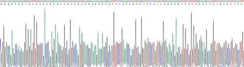 Recombinant Human Thyroid Hormone Receptor Alpha (THRa)