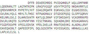 Recombinant Dipeptidase 1, Renal (DPEP1), RPU52145