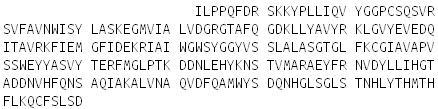 Recombinant Fibroblast Activation Protein Alpha (FAPa), RPU52147