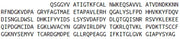 Recombinant Regucalcin (RGN), RPU52187