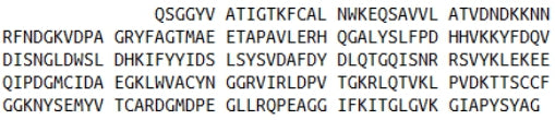 Recombinant Regucalcin (RGN), RPU52187