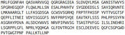 Recombinant Tripeptidyl Peptidase I (TPP1), RPU52195