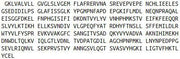 Recombinant Paraoxonase 3 (PON3), RPU52214