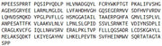 Recombinant Lipase, Monoacylglycerol (MGL), RPU52216
