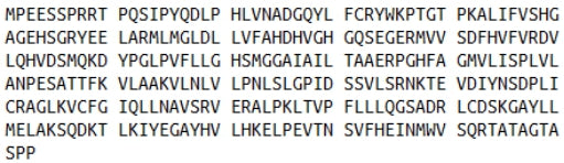Recombinant Lipase, Monoacylglycerol (MGL), RPU52216