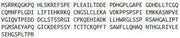 Recombinant B-Cell CLL/Lymphoma 11A (Bcl11A), RPU52254