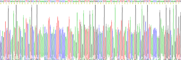 Eukaryotic Interleukin 8 (IL8), RPU52379