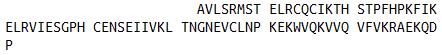 Eukaryotic Bovine Interleukin 8 (IL8)