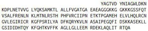 Recombinant Myosin Heavy Chain 1 (MYH1), RPU52400