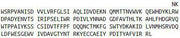 Recombinant Cholinergic Receptor, Nicotinic, Alpha 4 (CHRNa4), RPU52408