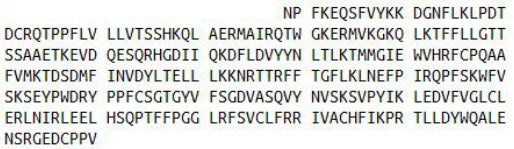 Recombinant Beta-1,3-Galactosyltransferase 5 (b3GALT5), RPU52436