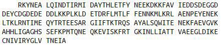 Recombinant Interferon Induced Helicase C Domain Containing Protein 1 (IFIH1), RPU52437
