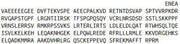 Recombinant Kidney And Brain Protein (KIBRA), RPU52439