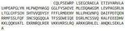 Recombinant Coiled Coil Domain Containing Protein 3 (CCDC3), RPU52440