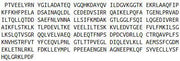 Recombinant Apoptosis Inhibitor 5 (API5), RPU52476