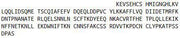 Recombinant Colony Stimulating Factor 1, Macrophage (MCSF), RPU52501