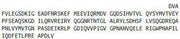 Recombinant Von Willebrand Factor (vWF), RPU52539