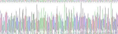 Recombinant Human Asialoglycoprotein Receptor 1 (ASGR1)
