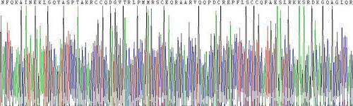 Recombinant Human Complement C4-B (C4B)
