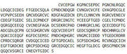 Recombinant Tenascin C (TNC), RPU52590