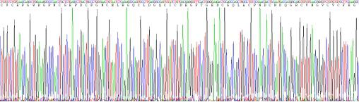 Recombinant Mouse Tenascin C (TNC)