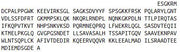 Recombinant Methyl CpG Binding Domain Protein 2 (MBD2), RPU52609