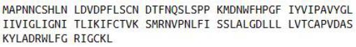 Recombinant Gastrin Releasing Peptide Receptor (GRPR), RPU52626