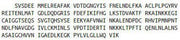Recombinant L-Plastin (LCP1), RPU52633