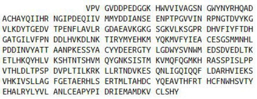 Recombinant Legumain (LGMN), RPU52634