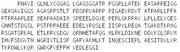 Recombinant Induced Myeloid Leukemia Cell Differentiation Protein Mcl-1 (MCL1), RPU52639