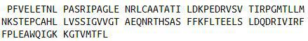 Recombinant D-Dopachrome Tautomerase (DDT), RPU52681