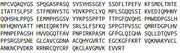 Recombinant Nuclear Receptor Related Protein 1 (NURR1), RPU52688