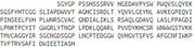Recombinant Elastase 3A (ELA3A), RPU52692