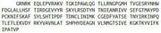 Recombinant Beta-Carotene-15,15'-Monooxygenase 1 (bCMO1), RPU52695
