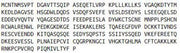 Recombinant Mdm2 p53 Binding Protein Homolog (MDM2), RPU52728