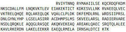 Recombinant Plasmalemma Vesicle Associated Protein (PLVAP), RPU52736