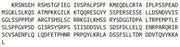 Recombinant NUAK Family SNF1 Like Kinase 1 (NUAK1), RPU52763