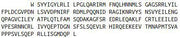 Recombinant Transmembrane Protein 173 (TMEM173), RPU52772