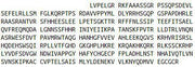 Recombinant Bone Morphogenetic Protein 2 (BMP2), RPU52796