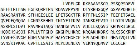 Recombinant Bone Morphogenetic Protein 2 (BMP2), RPU52796