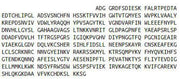 Recombinant Lipoprotein lipase (LPL), RPU52806